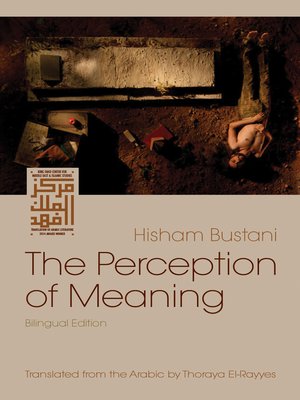 cover image of The Perception of Meaning
